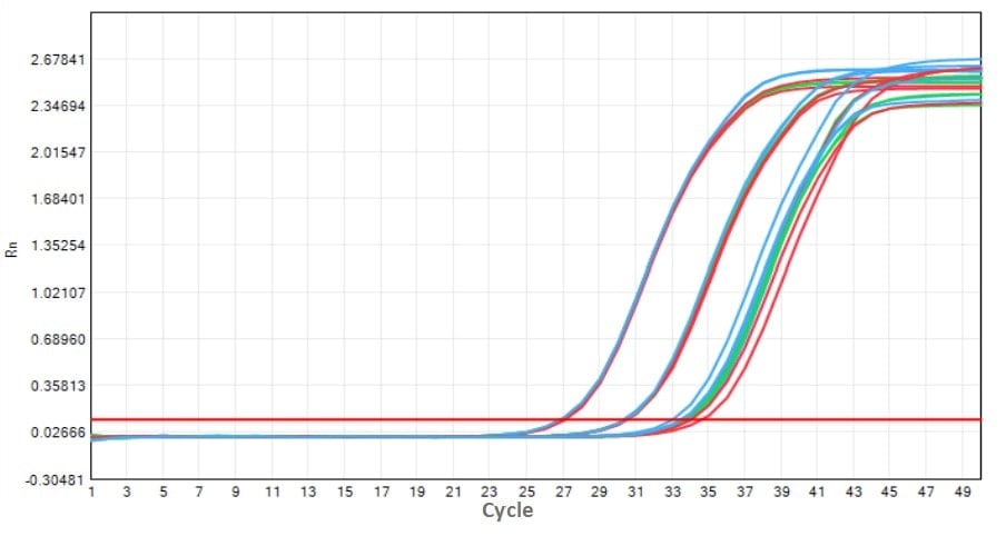 E20 Robustart Fast Taq DNA Polymerase-V2: Accelerated Stability Test - Amplification Curves - CY5 (-20°C control 37°C 7 d 37°C 14 d)