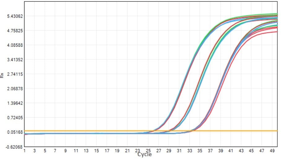 E20 Robustart Fast Taq DNA Polymerase-V2: Accelerated Stability Test - Amplification Curves - ROX (-20°C control 37°C 7 d 37°C 14 d)