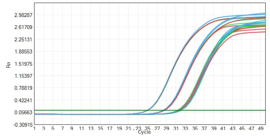 E20 Robustart Fast Taq DNA Polymerase-V2: Accelerated Stability Test - Amplification Curves - VIC (-20°C control 37°C 7 d 37°C 14 d)