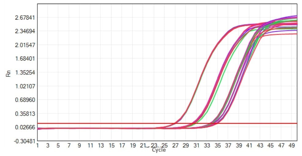 E20 Robustart Fast Taq DNA Polymerase-V2: Freeze-Thaw Stability Test - Amplification Curves - CY5 (Freeze-Thaw: 0 cycles 5 cycles 10 cycles 15 cycles 20 cycles)