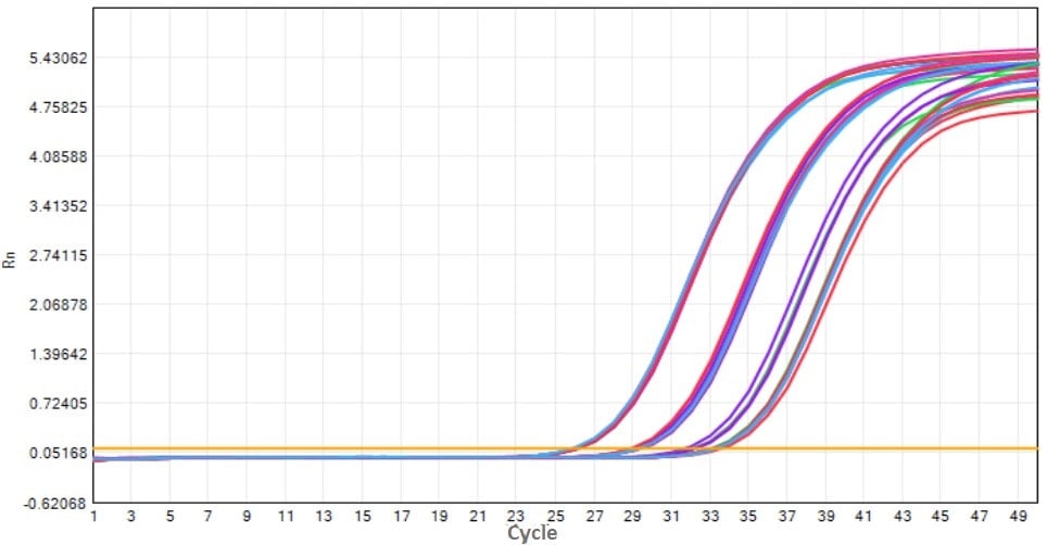 E20 Robustart Fast Taq DNA Polymerase-V2: Freeze-Thaw Stability Test - Amplification Curves - ROX (Freeze-Thaw: 0 cycles 5 cycles 10 cycles 15 cycles 20 cycles)