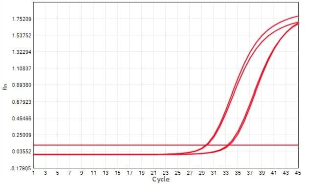 M2181-4 AcuGenix™ FastAmpli All-in-One qPCR Master Mix with UNG-V4: Fast Cycling Program Test - Amplification Curves - CY5 (M2181-4 - Fast PCR Program)