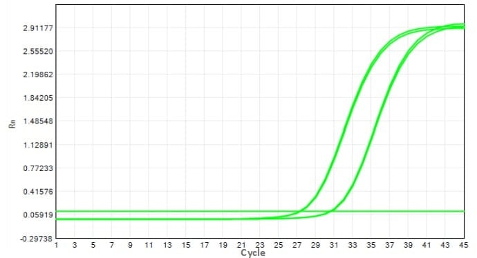 M2181-4 AcuGenix™ FastAmpli All-in-One qPCR Master Mix with UNG-V4: Fast Cycling Program Test - Amplification Curves - VIC (M2181-4 - Fast PCR Program)