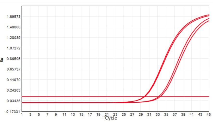 M2181-4 AcuGenix™ FastAmpli All-in-One qPCR Master Mix with UNG-V4: Fast Cycling Program Test - Amplification Curves - CY5 (M2181-4 -Standard PCR Program)