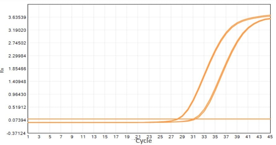 M2181-4 AcuGenix™ FastAmpli All-in-One qPCR Master Mix with UNG-V4: Fast Cycling Program Test - Amplification Curves - ROX (M2181-4 -Standard PCR Program)