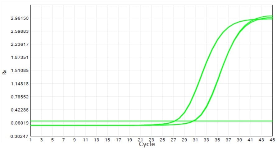 M2181-4 AcuGenix™ FastAmpli All-in-One qPCR Master Mix with UNG-V4: Fast Cycling Program Test - Amplification Curves - VIC (M2181-4 -Standard PCR Program)
