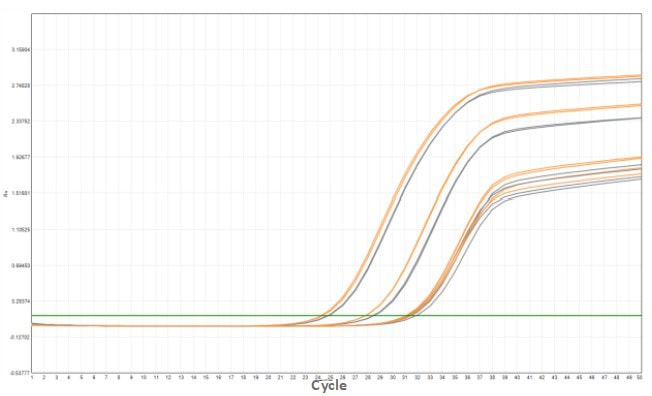MD2084-4 AcuGenix™ Fast Direct RT-qPCR Master Mix with UNG-V4: Accelerated Stability Test - Amplification Curves - VIC (MD2084-4 MD2084-4, accelerated at 37°C for 14 d)