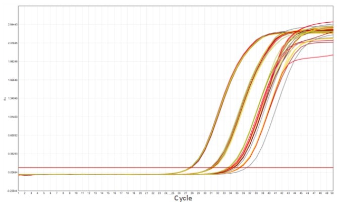MD2084-4 AcuGenix™ Fast Direct RT-qPCR Master Mix with UNG-V4: Freeze-Thaw Test - Amplification Curves - CY5 (0 freeze-thaw cycles 5 freeze-thaw cycles 10 freeze-thaw cycles 15…)