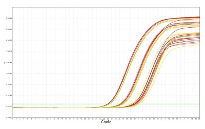 MD2084-4 AcuGenix™ Fast Direct RT-qPCR Master Mix with UNG-V4: Freeze-Thaw Test - Amplification Curves - VIC (0 freeze-thaw cycles 5 freeze-thaw cycles 10 freeze-thaw cycles 15…)