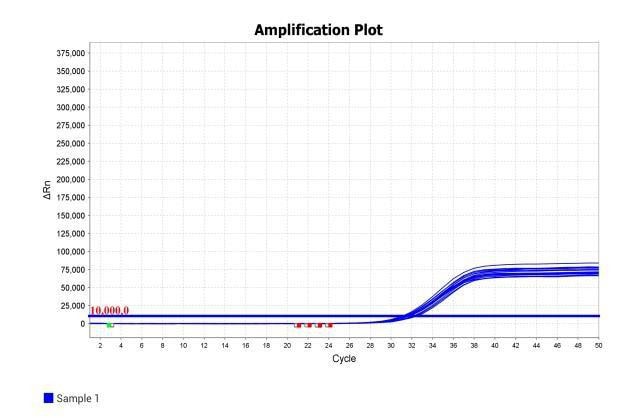 MD2084-4 AcuGenix™ Fast Direct RT-qPCR Master Mix with UNG-V4: Rapid PCR Program Test - Amplification Curves - CY5 (HCV-MLN Plasma Assay System)