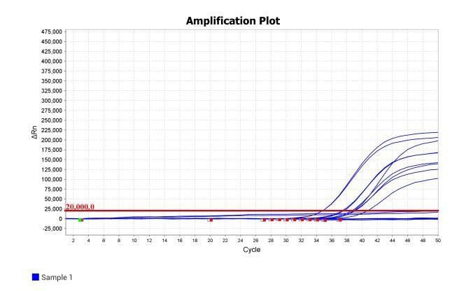 MD2084-4 AcuGenix™ Fast Direct RT-qPCR Master Mix with UNG-V4: Rapid PCR Program Test - Amplification Curves - ROX (HCV-MLN Plasma Assay System)