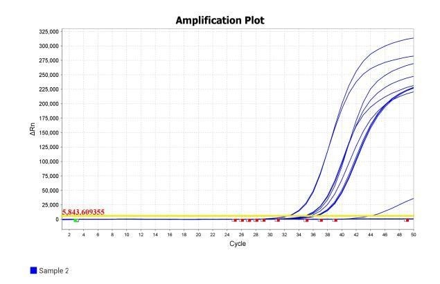 MD2084-4 AcuGenix™ Fast Direct RT-qPCR Master Mix with UNG-V4: Rapid PCR Program Test - Amplification Curves - CY5 (Rapid PCR Program: 50°C, 5 min; 95°C, 1 min; 50 cycles…)