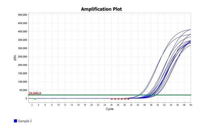 MD2084-4 AcuGenix™ Fast Direct RT-qPCR Master Mix with UNG-V4: Rapid PCR Program Test - Amplification Curves - ROX (Rapid PCR Program: 50°C, 5 min; 95°C, 1 min; 50 cycles…)