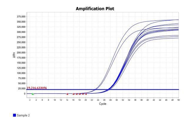 MD2084-4 AcuGenix™ Fast Direct RT-qPCR Master Mix with UNG-V4: Rapid PCR Program Test - Amplification Curves - VIC (Rapid PCR Program: 50°C, 5 min; 95°C, 1 min; 50 cycles…)