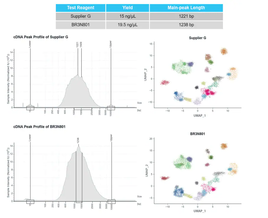 BR3N801 versus Supplier G single-cell cDNA yield, peak length, electropherogram profiles and UMAP cell clusters