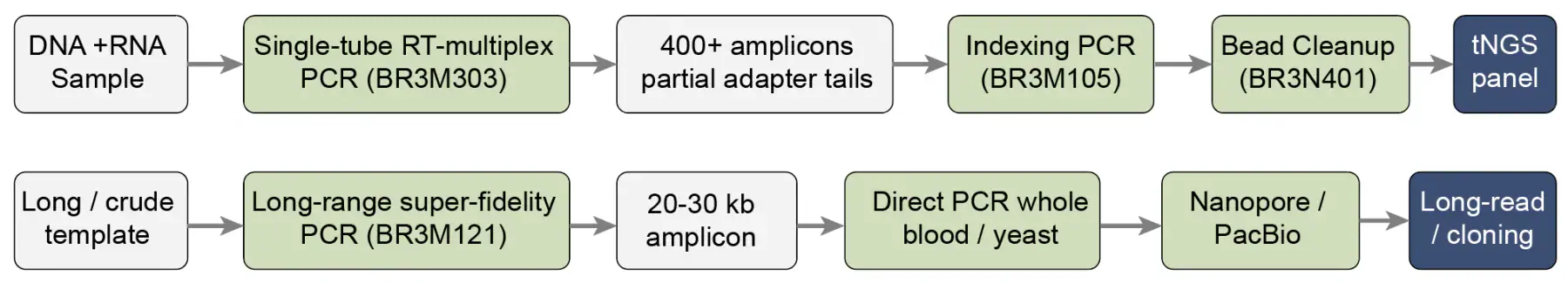 Lane B workflow diagrams: single-tube RT-multiplex PCR with BR3M303 for tNGS panels and long-range super-fidelity PCR with BR3M121 for long-read sequencing and cloning